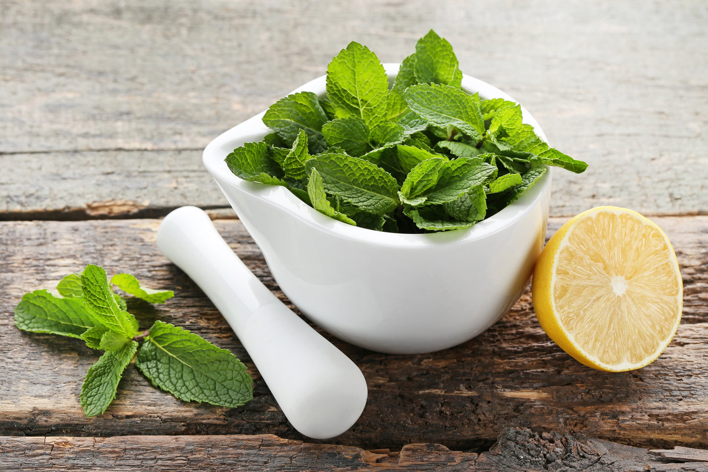 G2 Lemon Balm Leaf salve