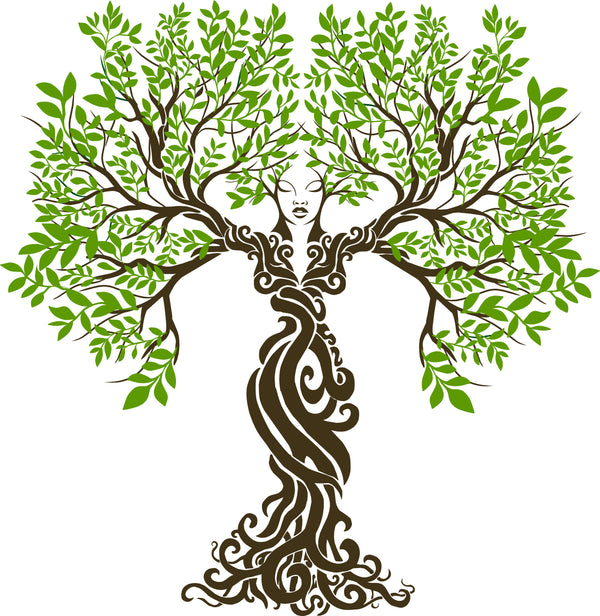 GETTING 2 THE ROOT OF IT ALL