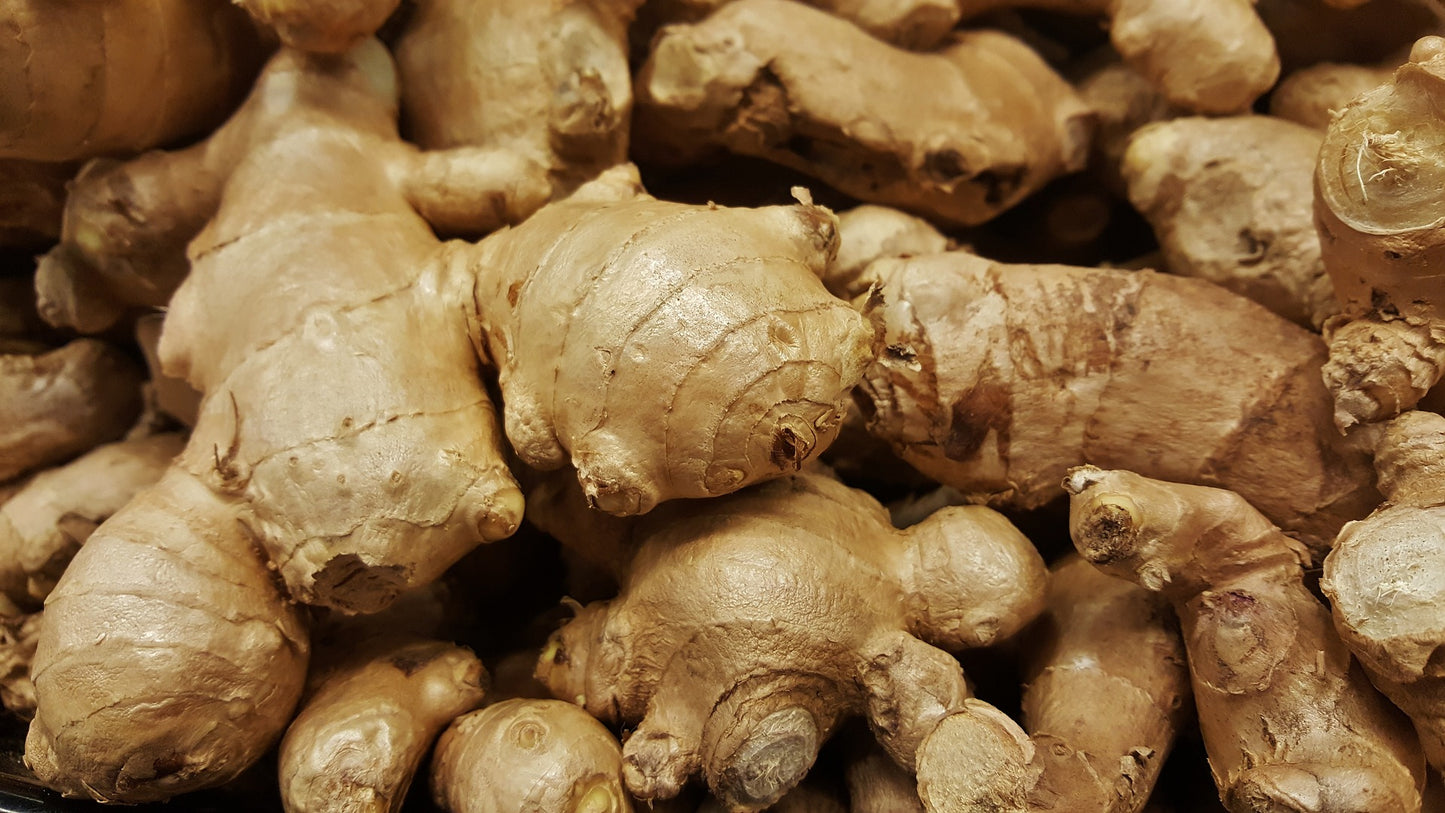 Ginger Root Herb